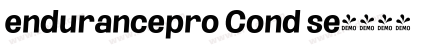 endurancepro Cond se字体转换